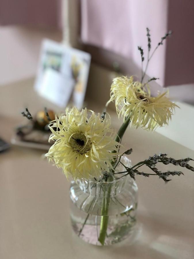 卡布-花藝小民宿 Taitung Floral B&B Ngoại thất bức ảnh